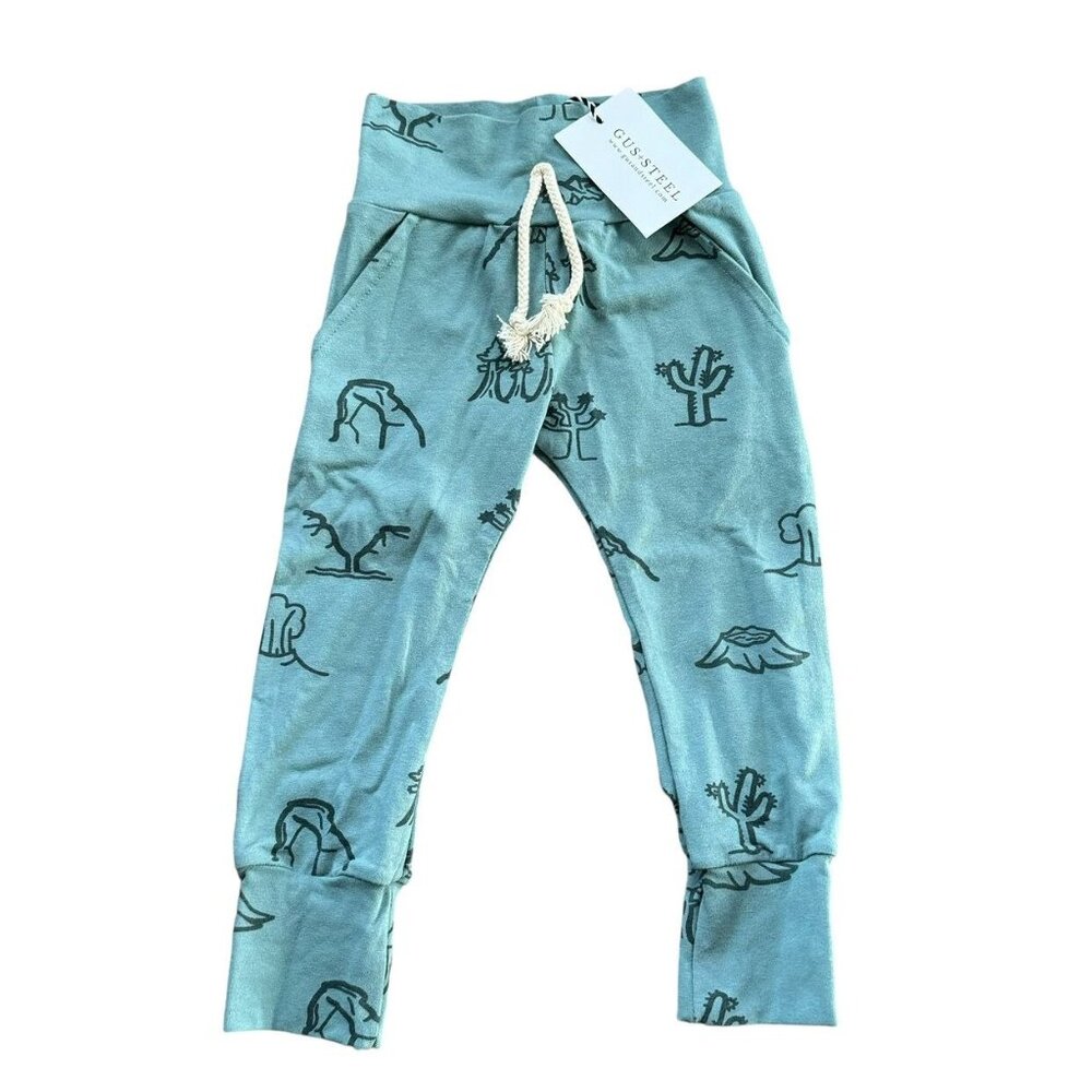 NWT Gus + Steel Mineral National Parks Ultra Skinnies 2T